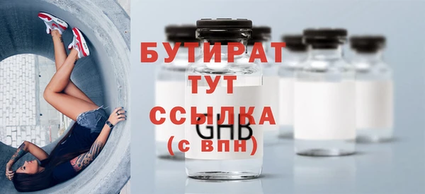 индика Краснослободск