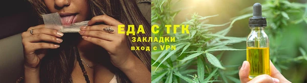 индика Краснослободск