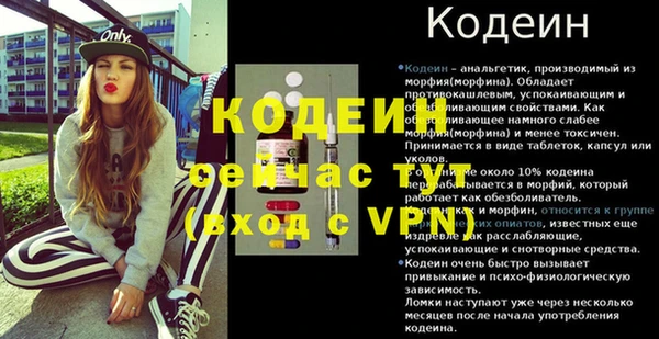индика Краснослободск