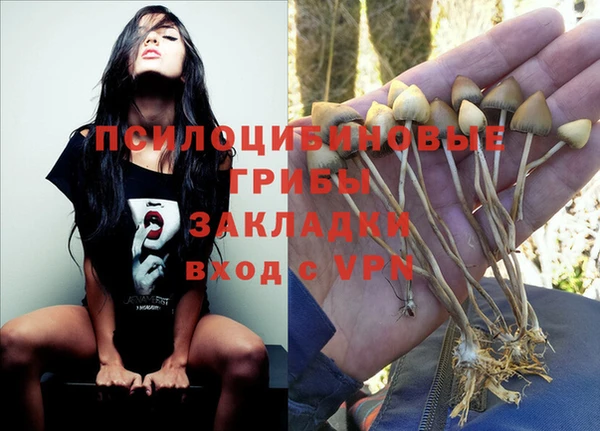 стафф Краснотурьинск