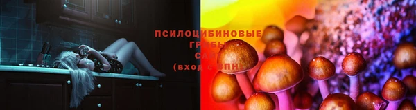 стафф Краснотурьинск