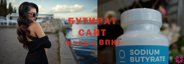 индика Краснослободск