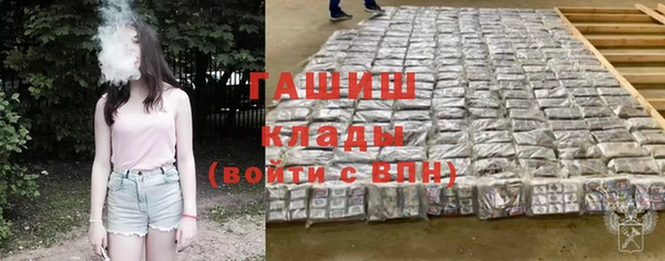 индика Краснослободск