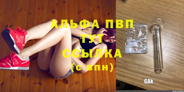 ПСИЛОЦИБИНОВЫЕ ГРИБЫ Кулебаки