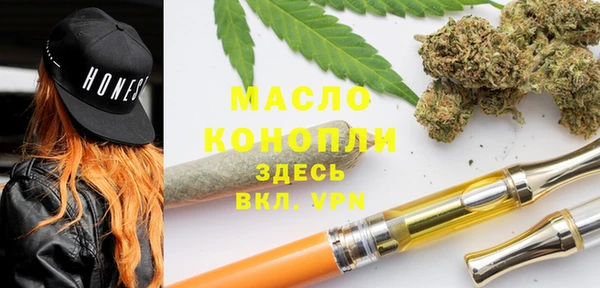 индика Краснослободск