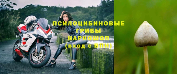 мдпв Красноперекопск