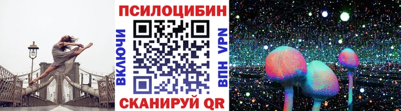 Псилоцибиновые грибы Cubensis Мурино
