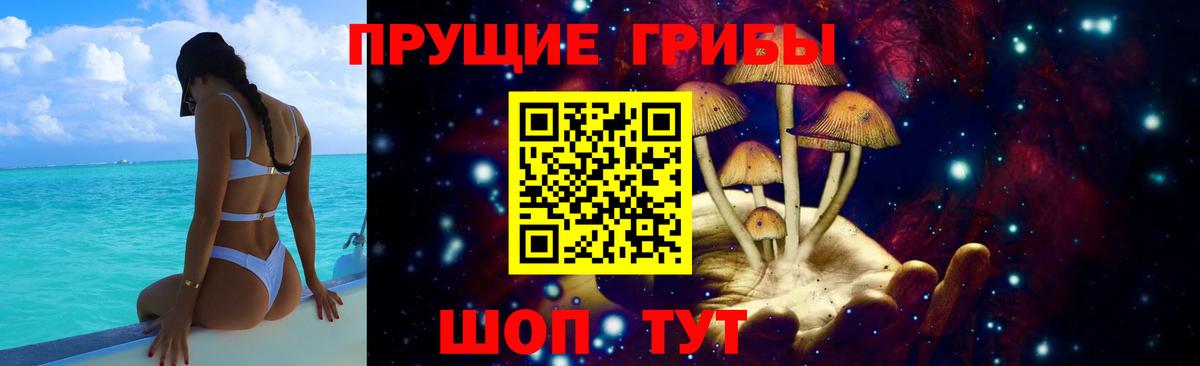 Мурино  Галлюциногенные грибы Cubensis  Вход с VPN 
