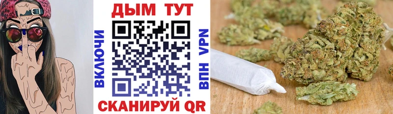 Каннабис планчик Мурино